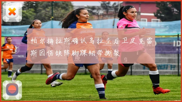 帕尔梅拉斯确认乌拉圭后卫皮克雷斯因伤缺阵脚踝韧带撕裂