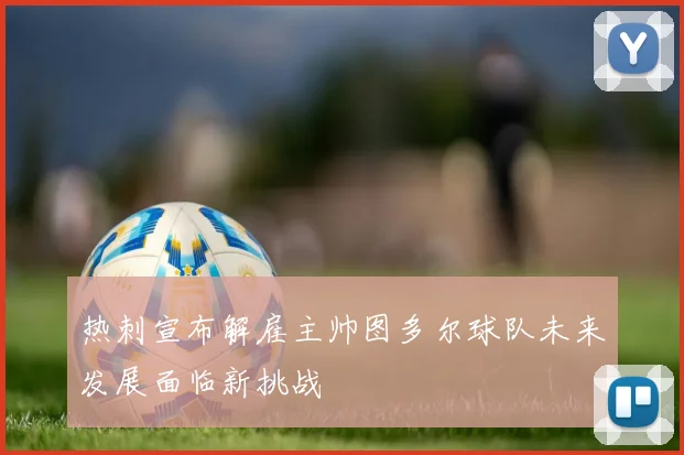 热刺宣布解雇主帅图多尔球队未来发展面临新挑战