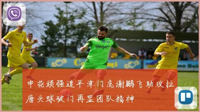 申花顽强追平津门虎谢鹏飞助攻拉唐头球破门再显团队精神